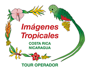 Imagenes Tropicales