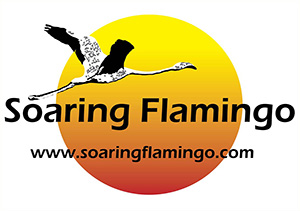 Soaring Flamingo Soaring Flamingo