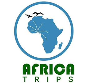Africa Trips