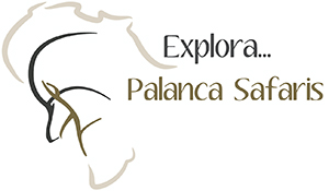 Explora ... Palanca Safaris