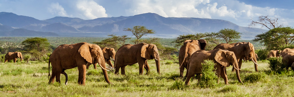 Kruger National Park Voyage sur Mesure en Afrique Du Sud - Agence de Voyage Locale Biwakwango