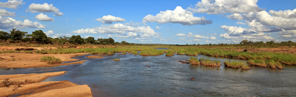 Kruger National Park Voyage sur Mesure en Afrique Du Sud - Agence de Voyage Locale Biwakwango