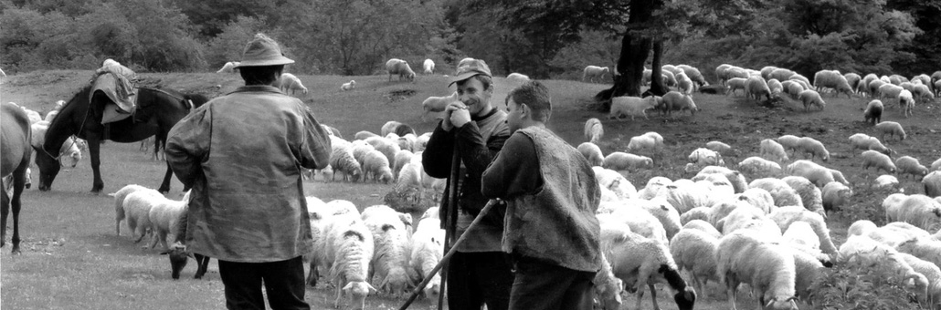 En Géorgie Voyage sur Mesure en Géorgie - Agence de Voyage Locale Caucasus Trekking Company