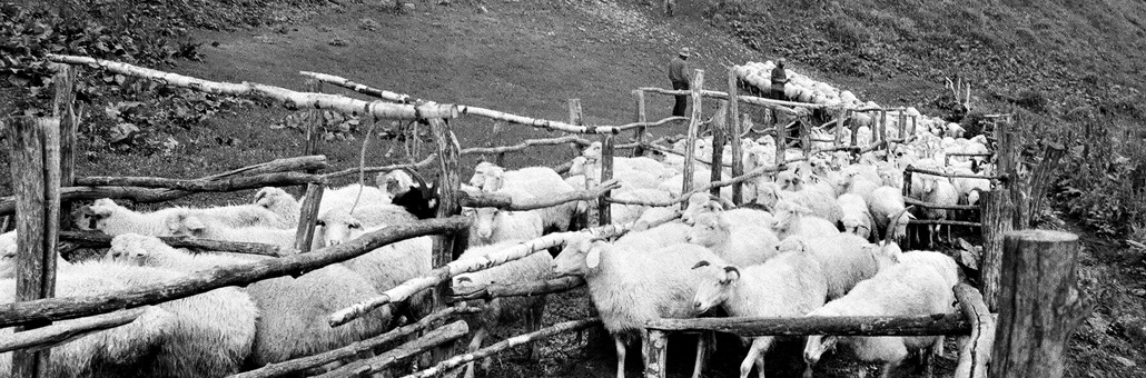 En Géorgie Voyage en Géorgie sur Mesure - Agence de Voyage Locale Caucasus Trekking Company