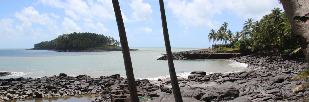 Voyage sur Mesure en Guyane - Agence de Voyage Locale T'Air Nature Guyane