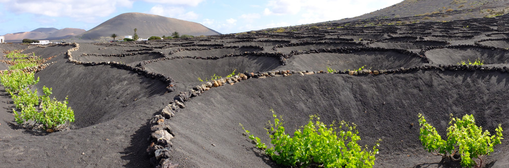 Voyage sur Mesure aux Iles Canaries - Agence de Voyage Locale Lanzatour Canarias