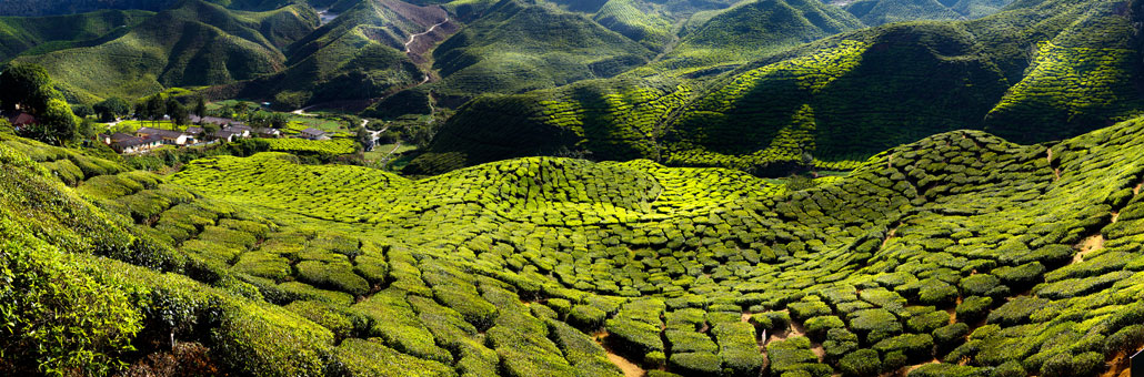 Voyage en Malaisie sur Mesure - Agence de Voyage Locale Pro eco Adventure