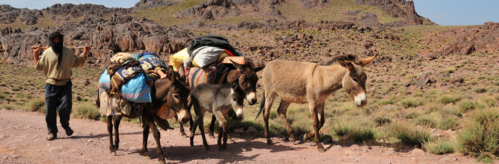 Voyage sur Mesure au Maroc - Agence de Voyage Locale Hors Circuit
