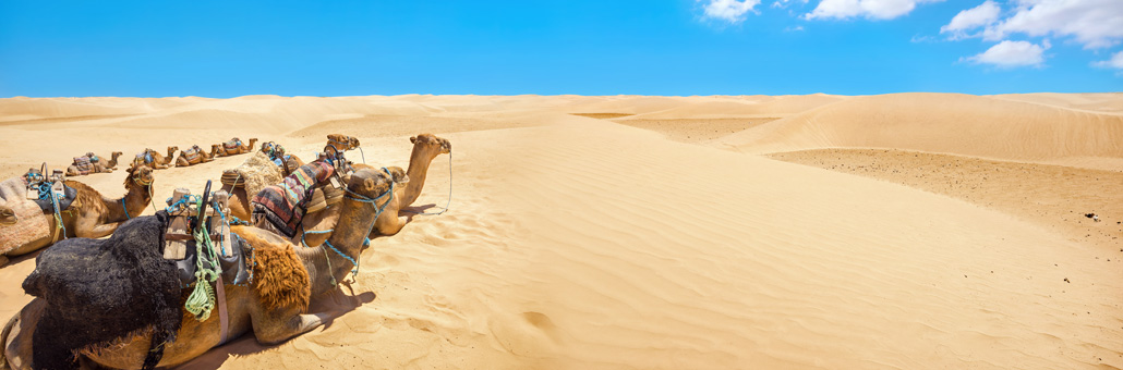 Désert Voyage en Tunisie sur Mesure - Agence de Voyage Locale Esprit du Désert