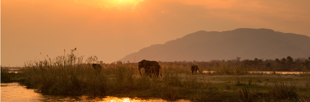 Voyage en Zambie sur Mesure - Agence de Voyage Locale Biwakwango