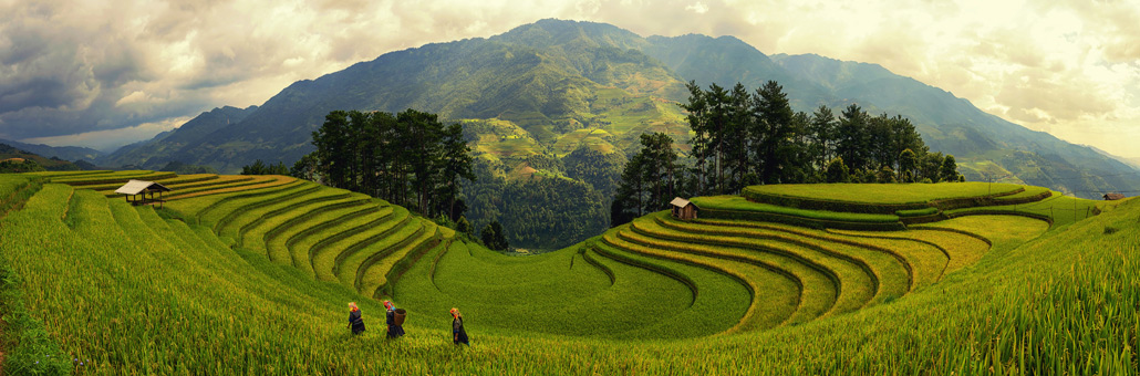 Muchangchai Voyage au Vietnam - Agence de Voyage Locale Orient Skyline Travel