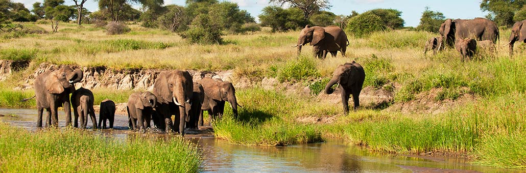 Voyage en Tanzanie avec l'Agence Impelisa Travel and Tours