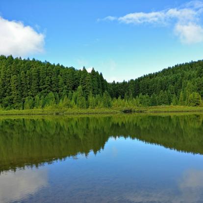 Voyage aux Açores - Agence de Voyage Locale Terra Lusitania