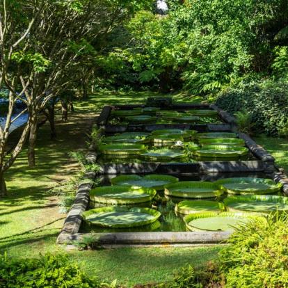 Voyage aux Açores - Agence de Voyage Locale Terra Lusitania
