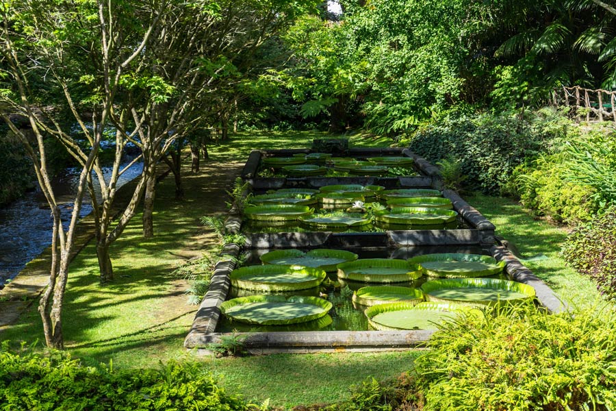Voyage aux Açores - Agence de Voyage Locale Terra Lusitania