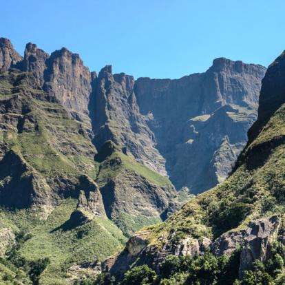 Safari en Afrique du Sud - Agence de Voyage Locale SA Travellers