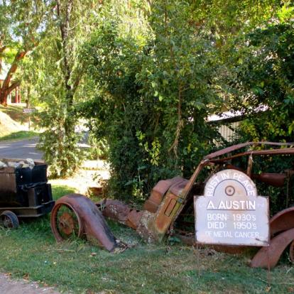 Safari en Afrique du Sud - Agence de Voyage Locale SA Travellers