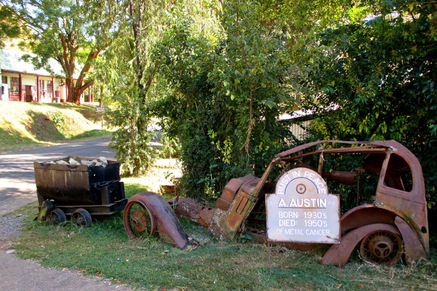 Safari en Afrique du Sud - Agence de Voyage Locale SA Travellers