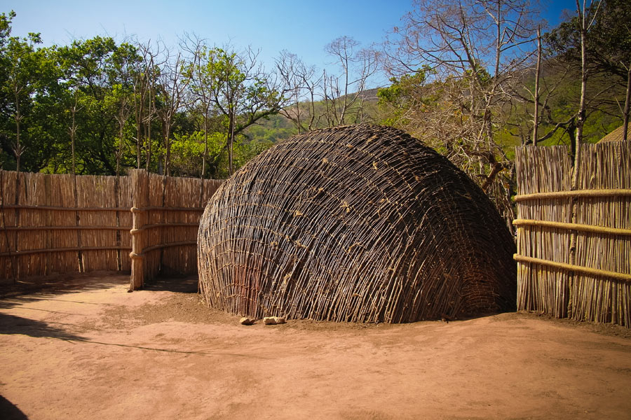 Safari en Afrique du Sud - Agence de Voyage Locale SA Travellers