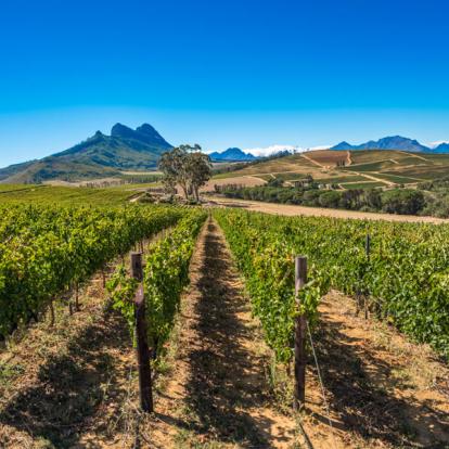 Safari en Afrique du Sud - Agence de Voyage Locale SA Travellers