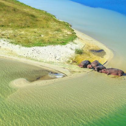 Voyage en Afrique du Sud - Agence de Voyage Locale Terra South Africa