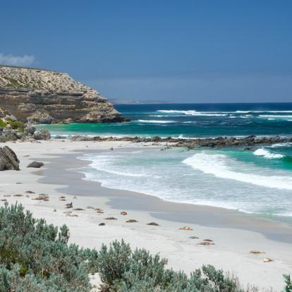 Kangoroo Island Voyage en Australie - Agence de Voyage Locale Terra Australia