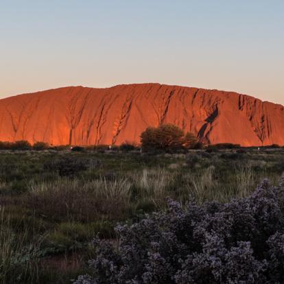 Uluru - Ayers Rock Voyage en Australie - Agence de Voyage Locale Terra Australia