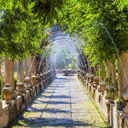 Voyage aux Baléares - Agence de Voyage Locale MallorcaAuthentic