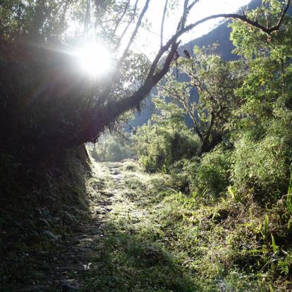 Traversée des Andes Voyage en Bolivie - Agence de Voyage Locale Terra Bolivia