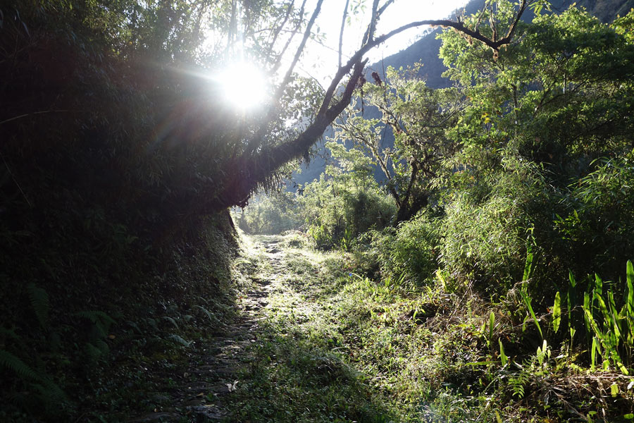 Voyage en Bolivie - Agence de Voyage Locale Terra Bolivia