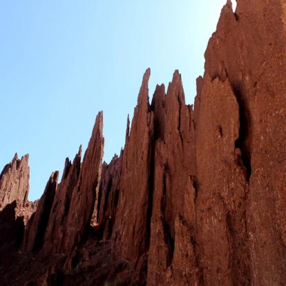Tupiza Voyage en Bolivie - Agence de Voyage Locale Terra Bolivia
