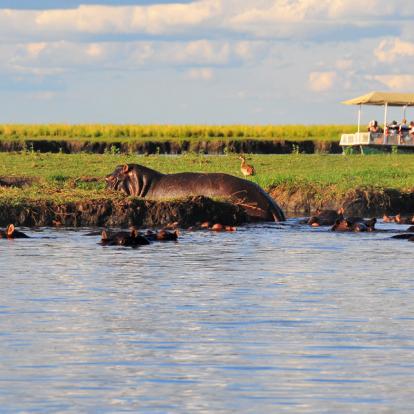 Parc National Chobe Voyage au Botswana - Agence de Voyage Locale Biwakwango