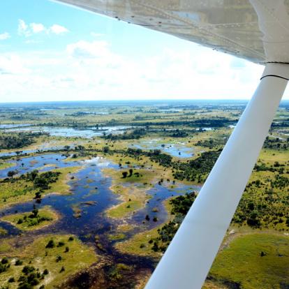 Delta de l'Okavango Voyage au Botswana - Agence de Voyage Locale Biwakwango