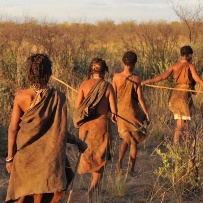Bushmen dans le désert de Kalahari Voyage et Safari au Botswana - Agence de Voyage Locale Sikiliza Botswana