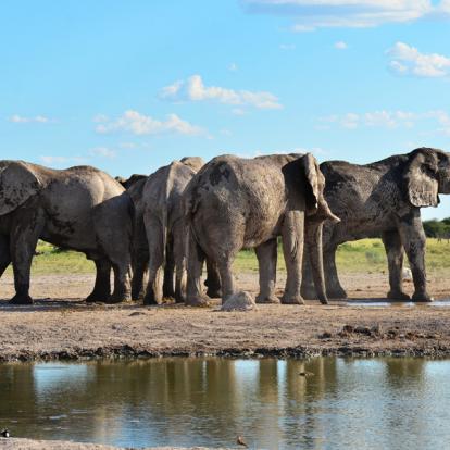 Parc National Nxai Pan Voyage et Safari au Botswana - Agence de Voyage Locale Sikiliza Botswana