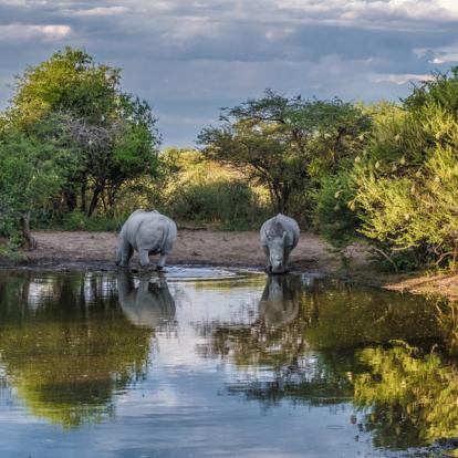 Voyage et Safari au Botswana - Agence de Voyage Locale Sikiliza Botswana
