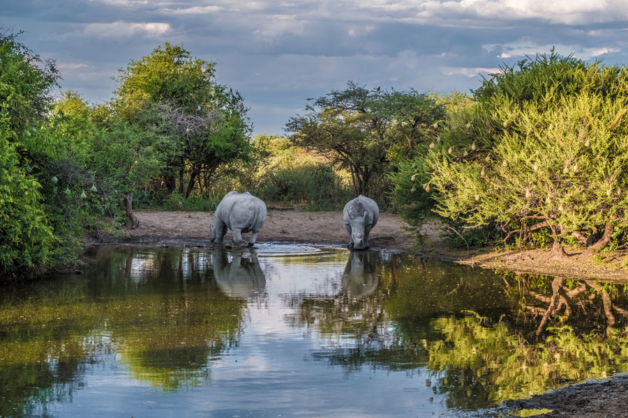 Voyage et Safari au Botswana - Agence de Voyage Locale Sikiliza Botswana