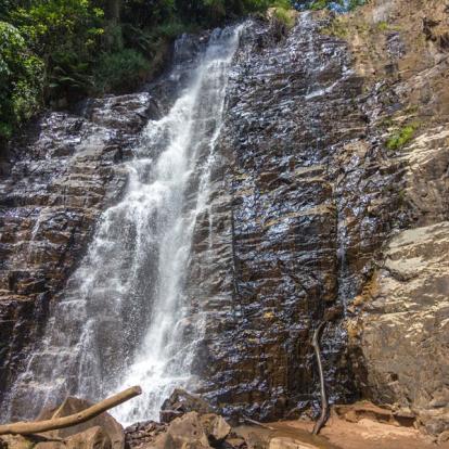 Voyage au Burundi - Agence de Voyage Locale Mapendano