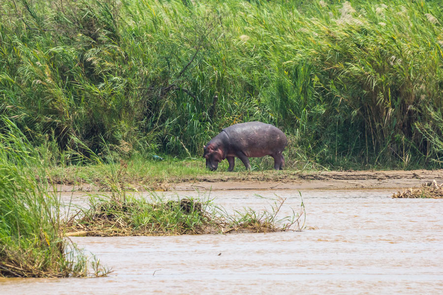 Voyage au Burundi - Agence de Voyage Locale Mapendano