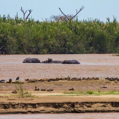 Voyage au Burundi - Agence de Voyage Locale Mapendano