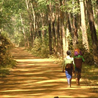Voyage au Cambodge - Agence de Voyage Locale Terre Cambodge