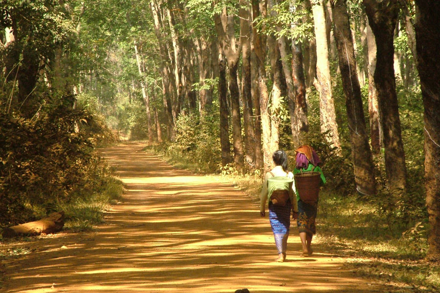 Voyage au Cambodge - Agence de Voyage Locale Terre Cambodge
