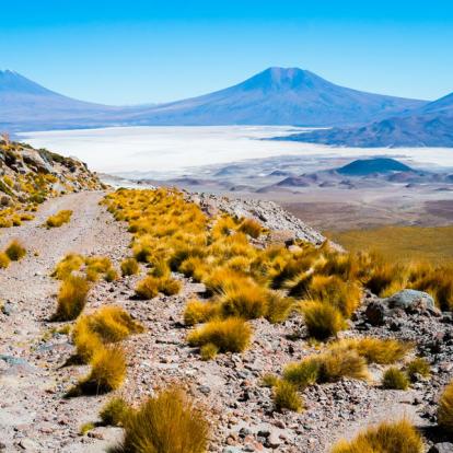 Agence de Voyage Locale au Chili - Terra Chile