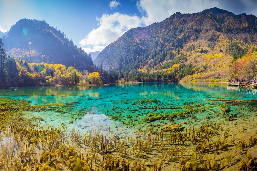 Voyage en Chine - Agence de Voyage Locale Chine Evasion