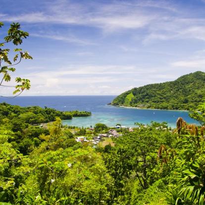 Voyage en Colombie - Agence de Voyage Locale Aventure Colombia