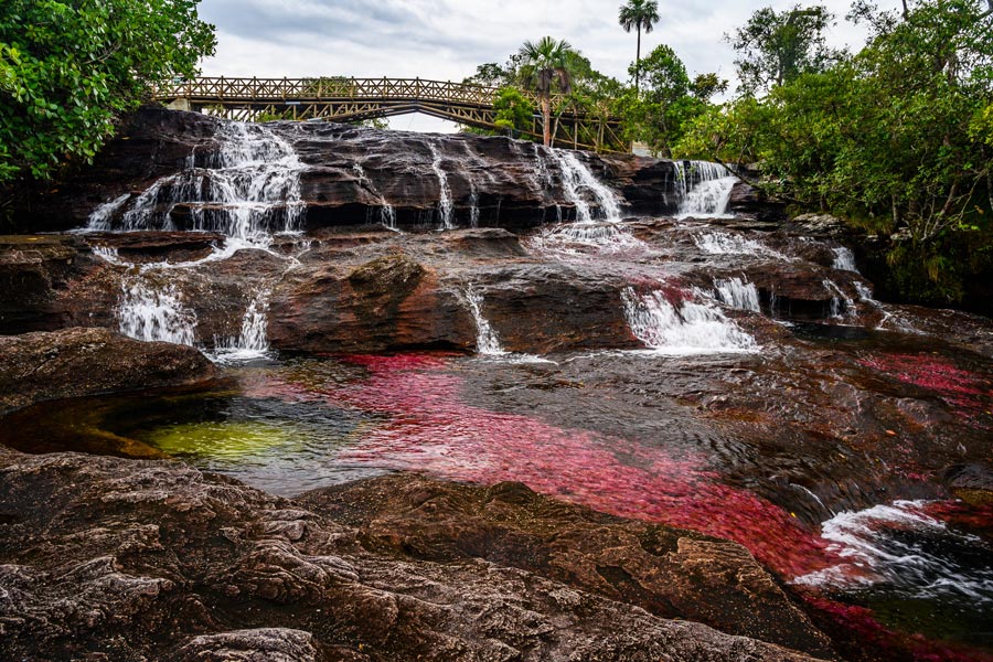 Voyage en Colombie - Agence de Voyage Locale Terra Colombia