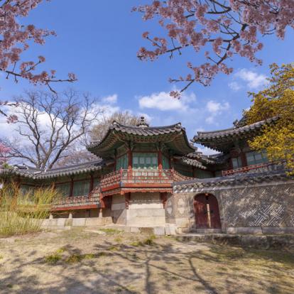 Voyage en Corée du Sud - Agence de Voyage Locale Corée Voyage