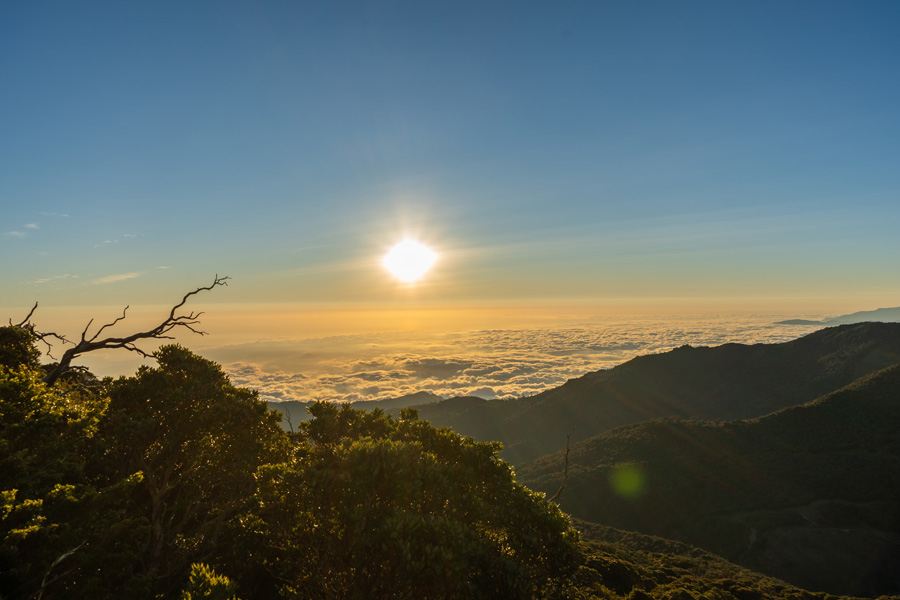 Voyage au Costa Rica - Agence de Voyage Locale Imagenes Tropicales