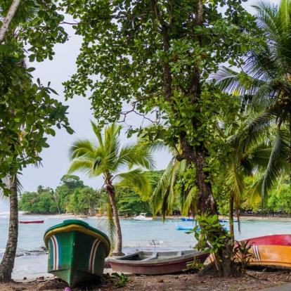 Voyage au Costa Rica - Agence de Voyage Locale Imagenes Tropicales