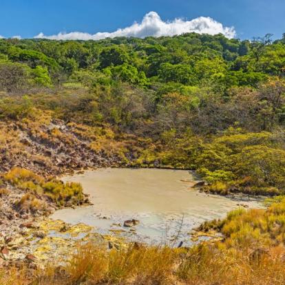 Voyage au Costa Rica - Agence de Voyage Locale Imagenes Tropicales